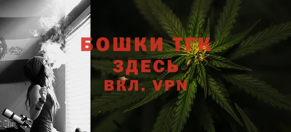 альфа пвп Гусев