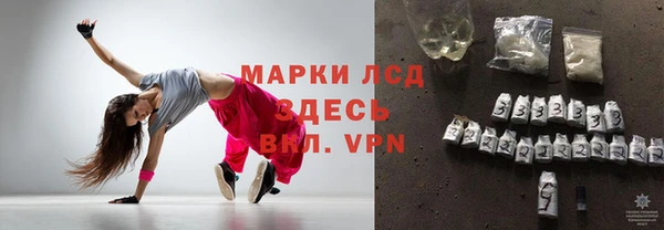 альфа пвп Гусев