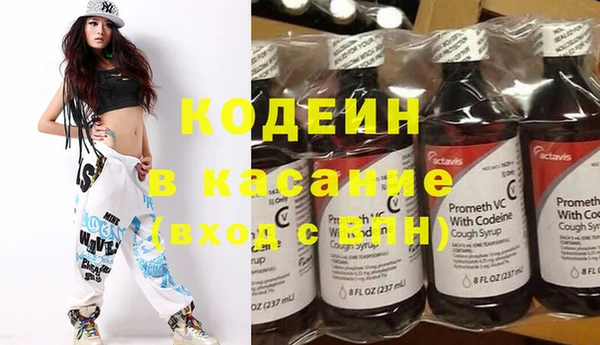 ГАЛЛЮЦИНОГЕННЫЕ ГРИБЫ Гусь-Хрустальный