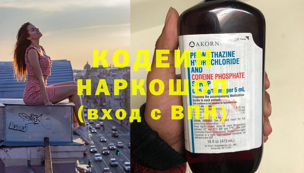 ГАЛЛЮЦИНОГЕННЫЕ ГРИБЫ Гусь-Хрустальный