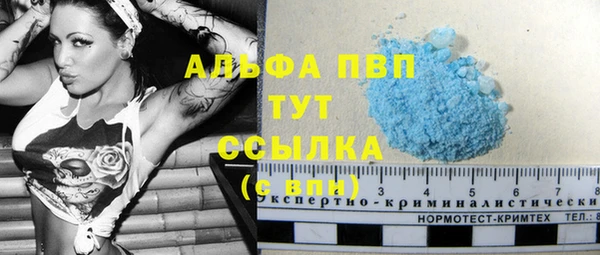 СК Магас