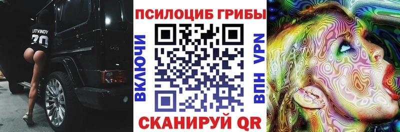 Псилоцибиновые грибы мицелий где найти наркотики Ельня